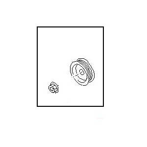 قطعه اصلی Pulley Assy فابریک نیسان
