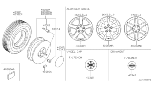 Road Wheel & Tire