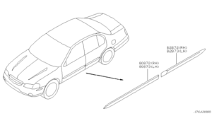 Body Side Molding