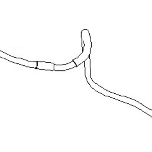 قطعه اصلی Hose Assy-Fuel فابریک نیسان