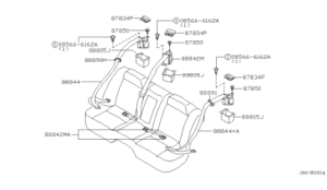 Rear Seat Belt