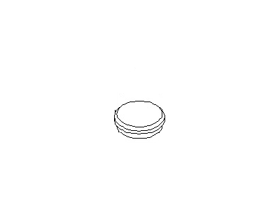 قطعه اصلی Plug-Blind فابریک نیسان