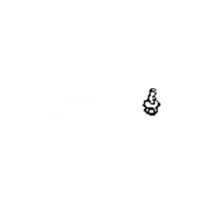 پیچ فابریک نیسان